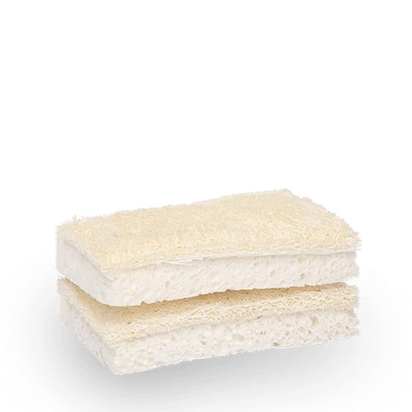 Seed & Sprout Compostable Sponge w/ Scourer