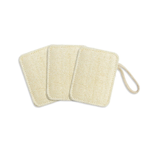 Seed & Sprout Compostable Kitchen Loofah - Set of 3