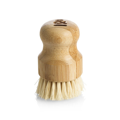 Seed & Sprout Pot Scrubber